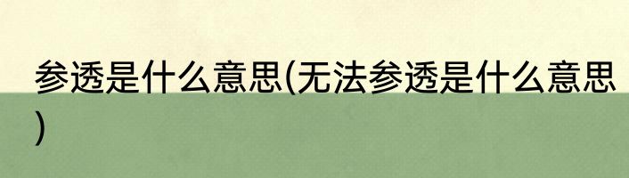 参透是什么意思(无法参透是什么意思)
