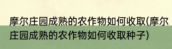 摩尔庄园成熟的农作物如何收取(摩尔庄园成熟的农作物如何收取种子)