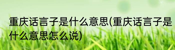 重庆话言子是什么意思(重庆话言子是什么意思怎么说)