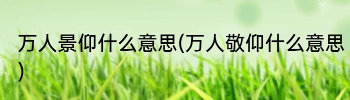 万人景仰什么意思(万人敬仰什么意思)