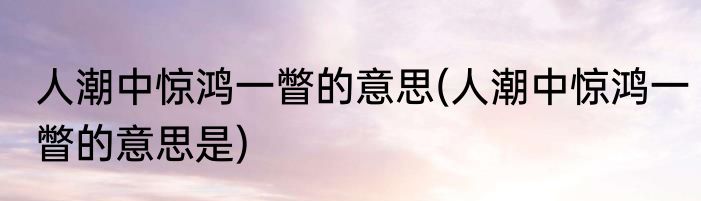 人潮中惊鸿一瞥的意思(人潮中惊鸿一瞥的意思是)