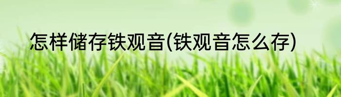 怎样储存铁观音(铁观音怎么存)