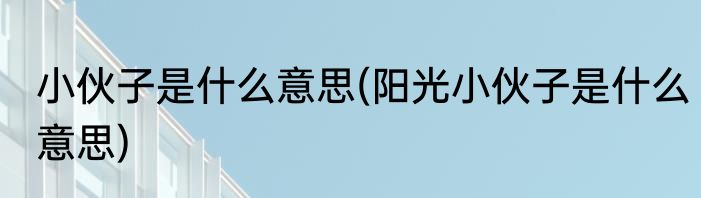 小伙子是什么意思(阳光小伙子是什么意思)