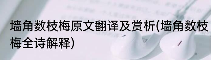 墙角数枝梅原文翻译及赏析(墙角数枝梅全诗解释)