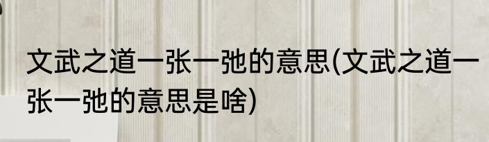 文武之道一张一弛的意思(文武之道一张一弛的意思是啥)