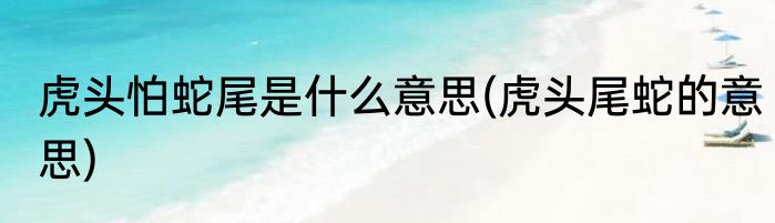虎头怕蛇尾是什么意思(虎头尾蛇的意思)