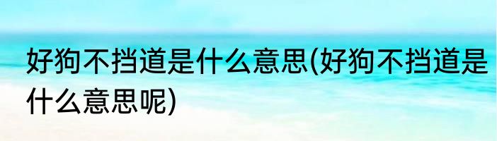 好狗不挡道是什么意思(好狗不挡道是什么意思呢)