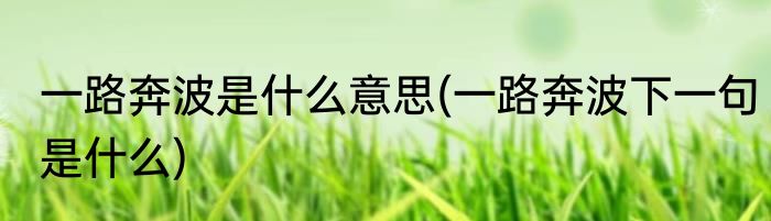 寸草心的谜底是什么字(寸草心的谜底是什么字会后还须添后劲字谜是什么)