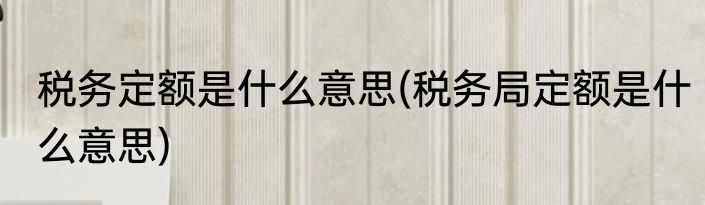 税务定额是什么意思(税务局定额是什么意思)