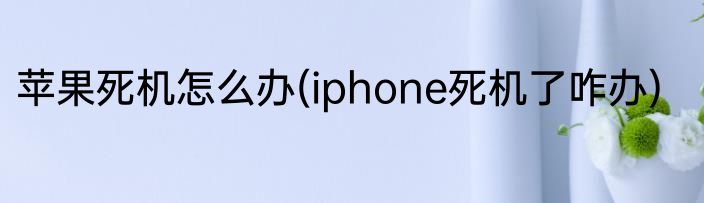 苹果死机怎么办(iphone死机了咋办)