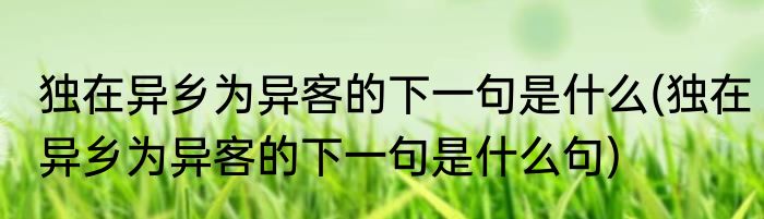 独在异乡为异客的下一句是什么(独在异乡为异客的下一句是什么句)