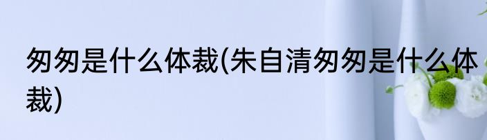 匆匆是什么体裁(朱自清匆匆是什么体裁)