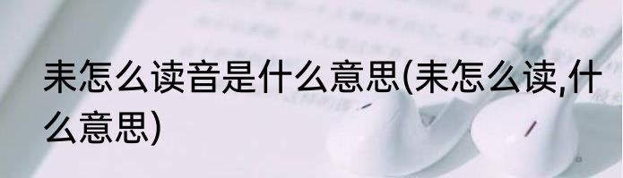 耒怎么读音是什么意思(耒怎么读,什么意思)