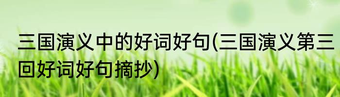 三国演义中的好词好句(三国演义第三回好词好句摘抄)