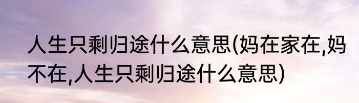 人生只剩归途什么意思(妈在家在,妈不在,人生只剩归途什么意思)