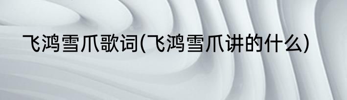 飞鸿雪爪歌词(飞鸿雪爪讲的什么)