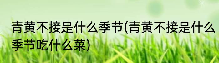 青黄不接是什么季节(青黄不接是什么季节吃什么菜)