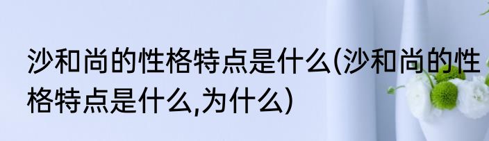 沙和尚的性格特点是什么(沙和尚的性格特点是什么,为什么)