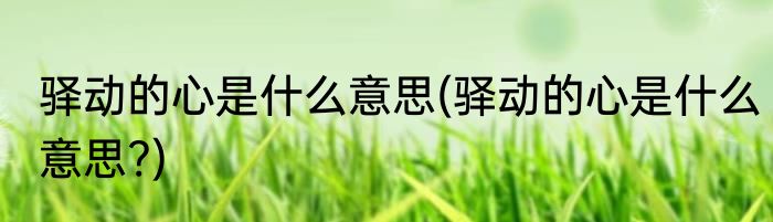 驿动的心是什么意思(驿动的心是什么意思?)