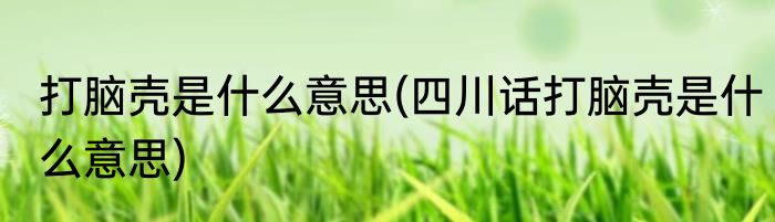 打脑壳是什么意思(四川话打脑壳是什么意思)