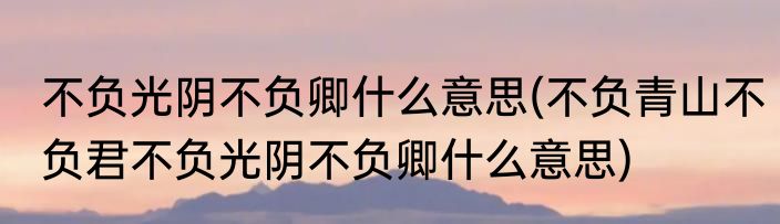 不负光阴不负卿什么意思(不负青山不负君不负光阴不负卿什么意思)