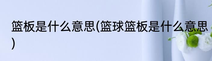 篮板是什么意思(篮球篮板是什么意思)