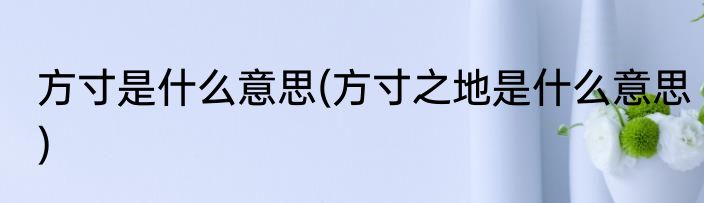 方寸是什么意思(方寸之地是什么意思)