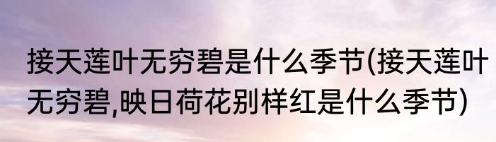 接天莲叶无穷碧是什么季节(接天莲叶无穷碧,映日荷花别样红是什么季节)
