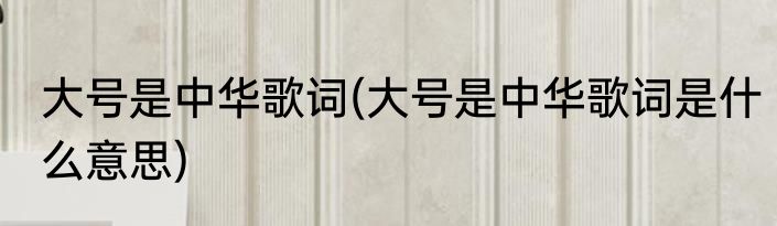 大号是中华歌词(大号是中华歌词是什么意思)