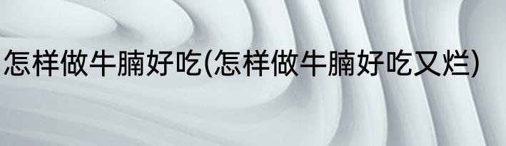 怎样做牛腩好吃(怎样做牛腩好吃又烂)