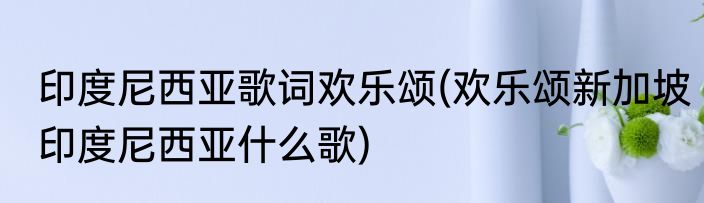 印度尼西亚歌词欢乐颂(欢乐颂新加坡印度尼西亚什么歌)