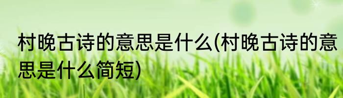 村晚古诗的意思是什么(村晚古诗的意思是什么简短)
