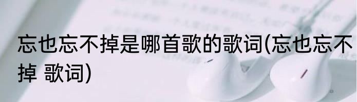 忘也忘不掉是哪首歌的歌词(忘也忘不掉 歌词)