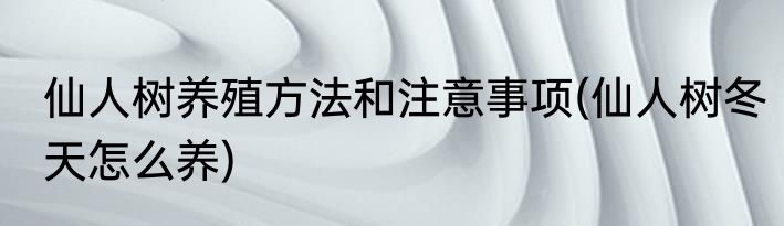 仙人树养殖方法和注意事项(仙人树冬天怎么养)