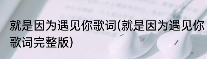就是因为遇见你歌词(就是因为遇见你歌词完整版)
