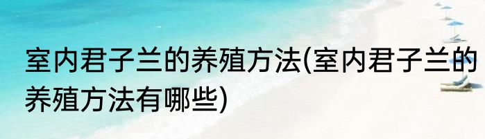 室内君子兰的养殖方法(室内君子兰的养殖方法有哪些)