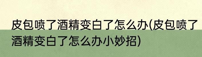 皮包喷了酒精变白了怎么办(皮包喷了酒精变白了怎么办小妙招)