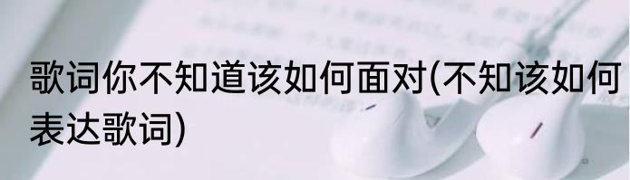 歌词你不知道该如何面对(不知该如何表达歌词)