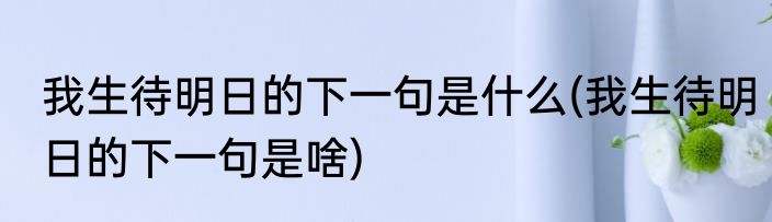 我生待明日的下一句是什么(我生待明日的下一句是啥)