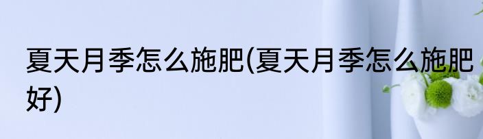 夏天月季怎么施肥(夏天月季怎么施肥好)