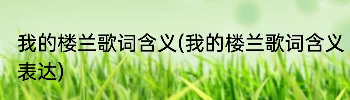 我的楼兰歌词含义(我的楼兰歌词含义表达)