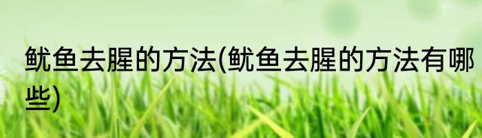 鱿鱼去腥的方法(鱿鱼去腥的方法有哪些)