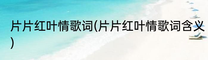 片片红叶情歌词(片片红叶情歌词含义)