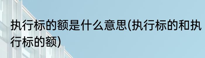 执行标的额是什么意思(执行标的和执行标的额)