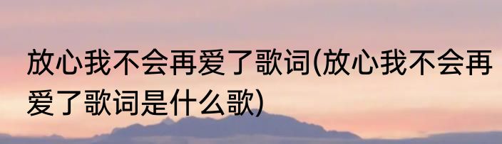 放心我不会再爱了歌词(放心我不会再爱了歌词是什么歌)
