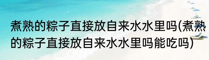 煮熟的粽子直接放自来水水里吗(煮熟的粽子直接放自来水水里吗能吃吗)