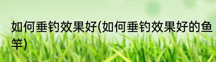 如何垂钓效果好(如何垂钓效果好的鱼竿)