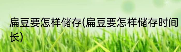 扁豆要怎样储存(扁豆要怎样储存时间长)