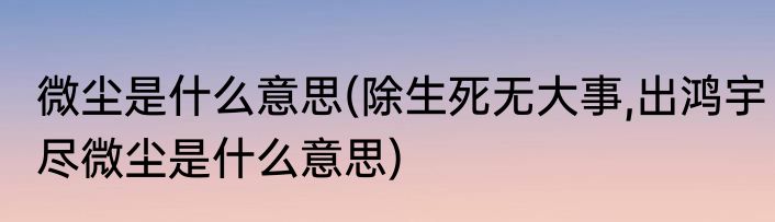 微尘是什么意思(除生死无大事,出鸿宇尽微尘是什么意思)