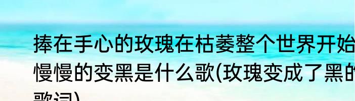 捧在手心的玫瑰在枯萎整个世界开始慢慢的变黑是什么歌(玫瑰变成了黑的歌词)